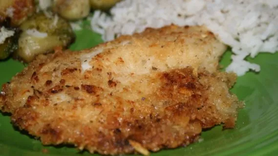 Key West Fillets