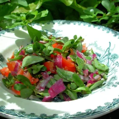 Lemon And Olive Oil Drizzled Wild Purslane Salad Recipe