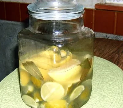 Lemons &Amp; Limes With Vinegar &Amp; Salt Brine