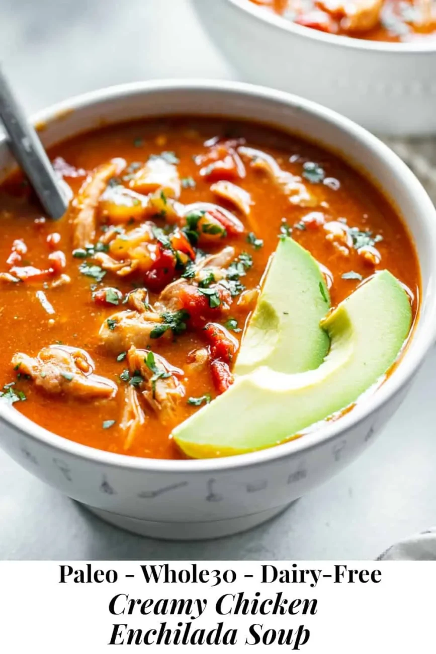 Low Carb Chicken Enchilada