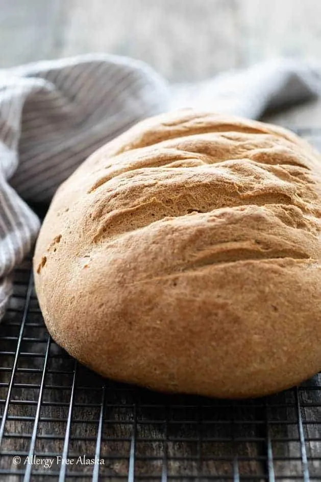 Millet Orange Bread  Breadmaker 1 1/2