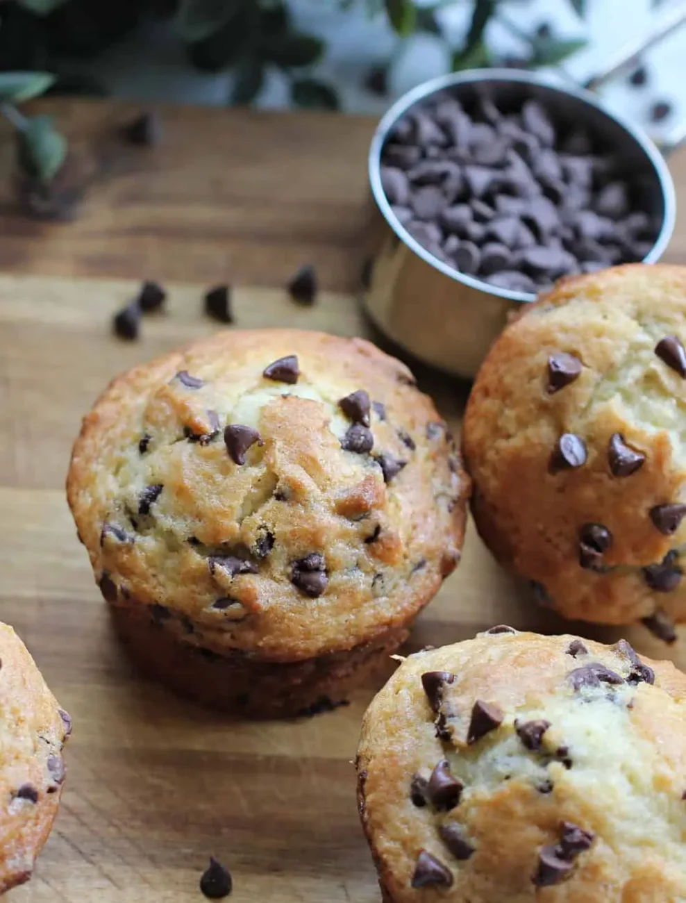 Moist Chocolate Chip Yogurt Muffins Recipe