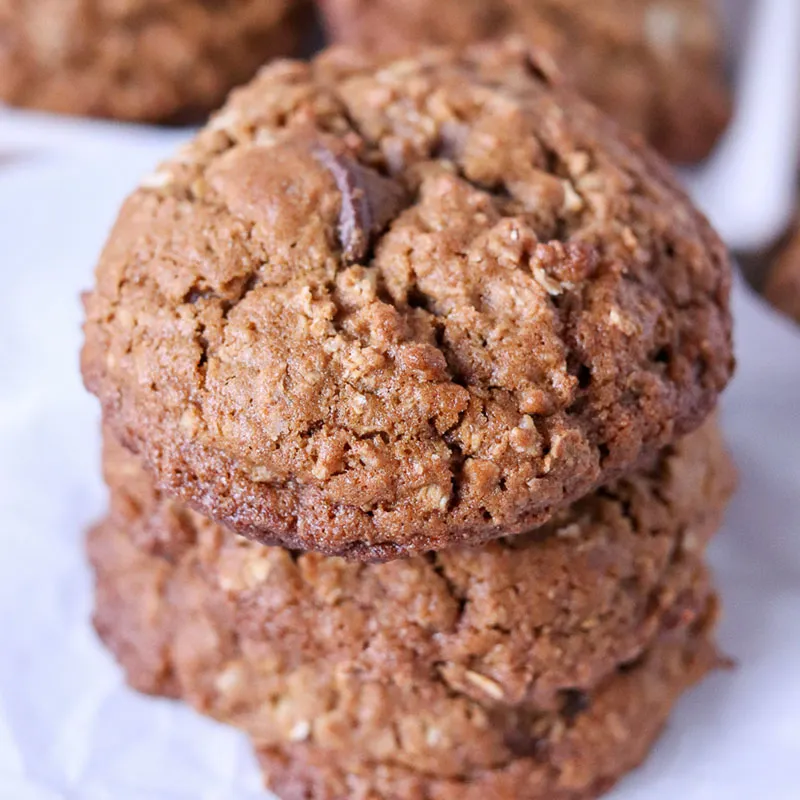 Molasses Oatmeal Chocolate Chip