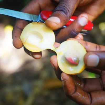 Mozambique-Style Swahili Ginger Milk Tea Recipe