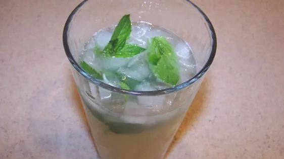 Nojito Nonalcoholic Mojito Cocktail