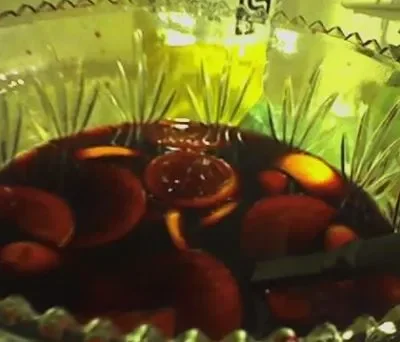 Olive Garden Sangria