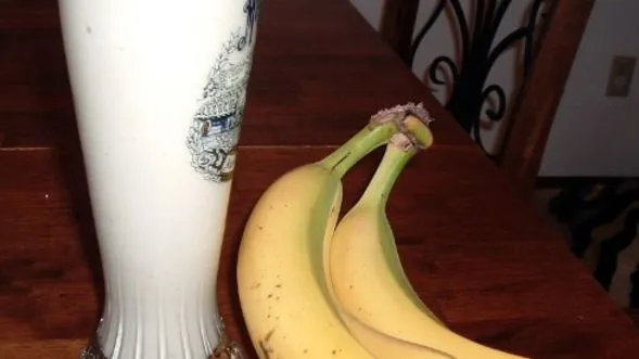 Peanut Butter Banana Protein Smoothie