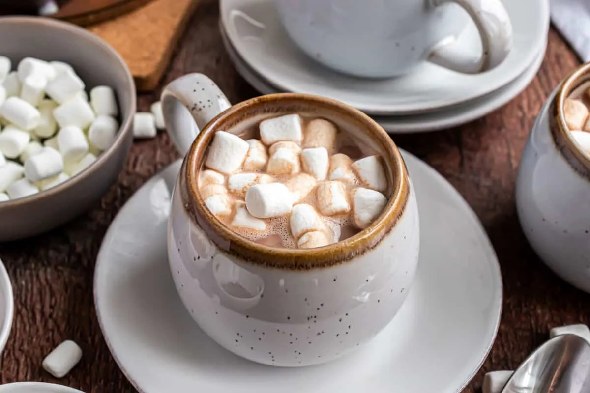 Peppermint Hot Chocolate With Whipped Cream