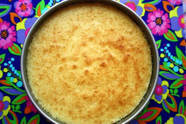 Plain Old Yellow Cake From Scratch For 100
