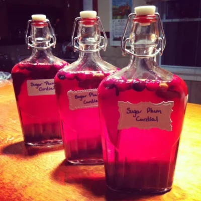 Plum Cordial