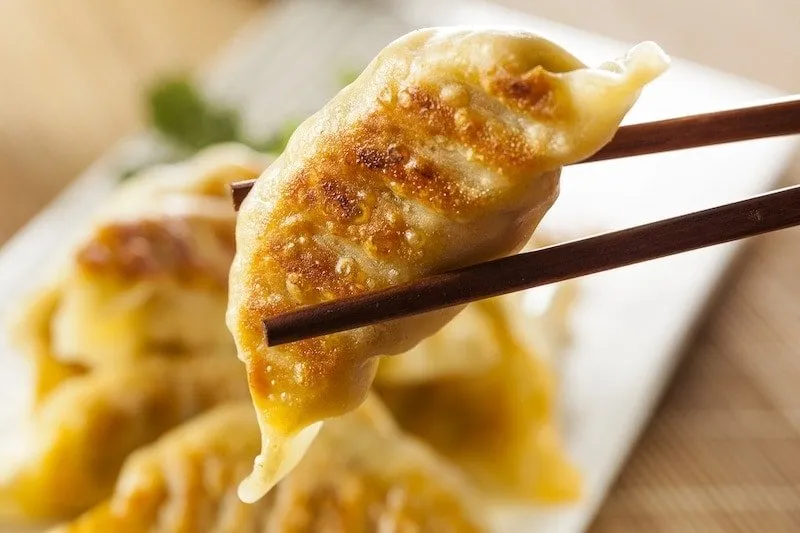 Pork Dumplings Gyoza