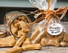 Pumpkin Dog Biscuits