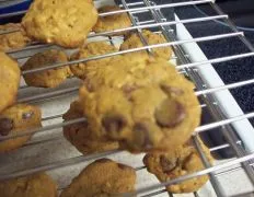 Pumpkin Oatmeal Chocolate Chip Cookies