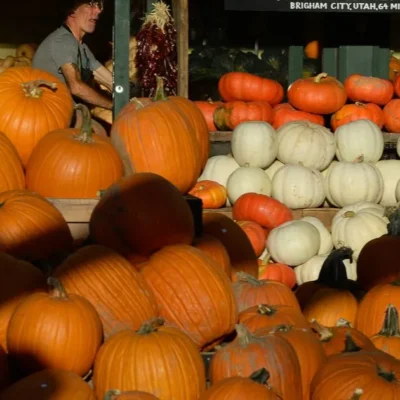 Quick and Easy Homemade Pumpkin Butter Recipe