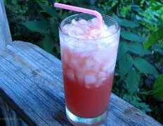 Refreshing Watermelon Gin Fizz Cocktail Recipe