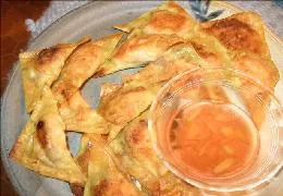 Salmon Won Tons With Ginger &Amp; Red Vinegar Dipping