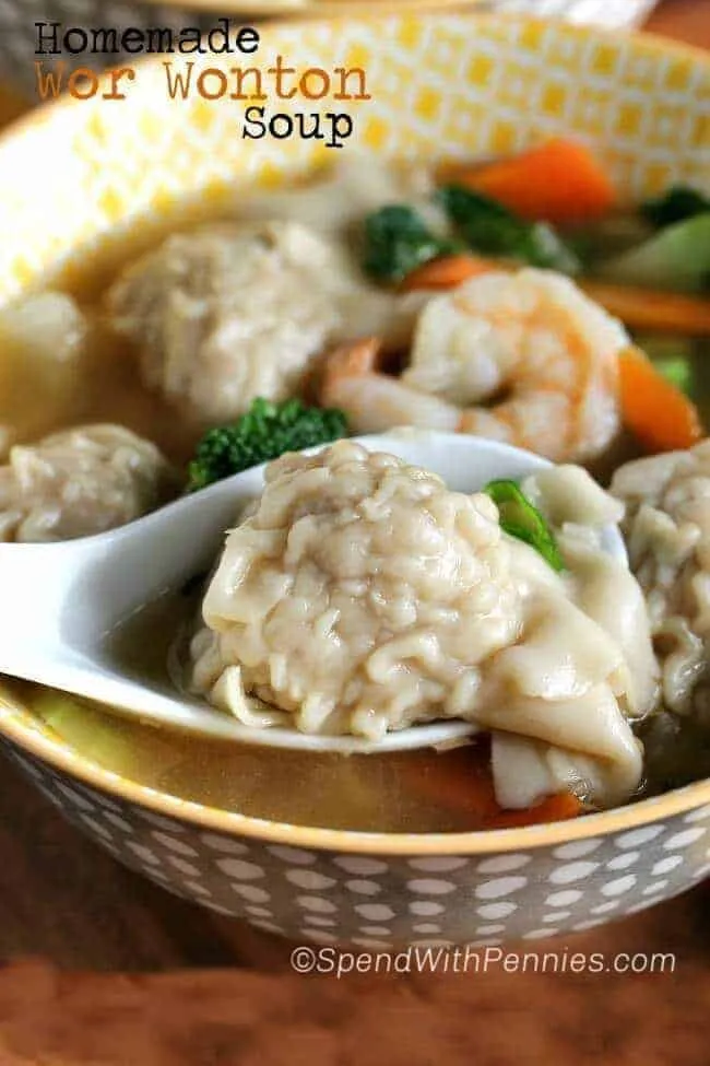 Simple Wonton Won Ton Soup