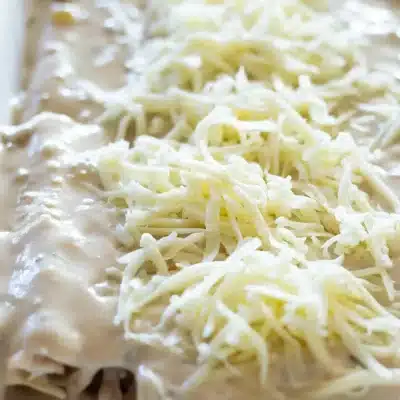 Another Sour Cream Chicken
