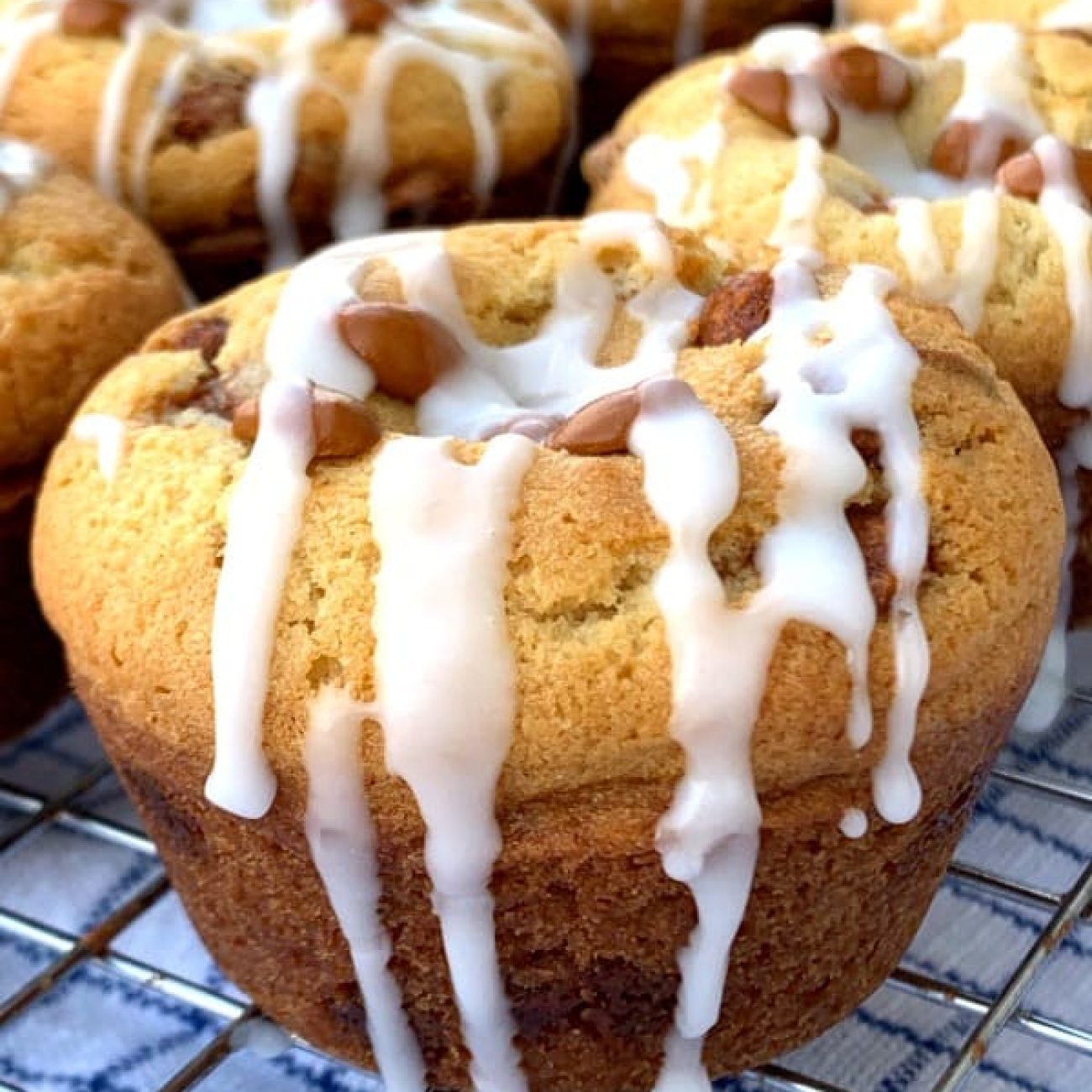 Applesauce Muffins