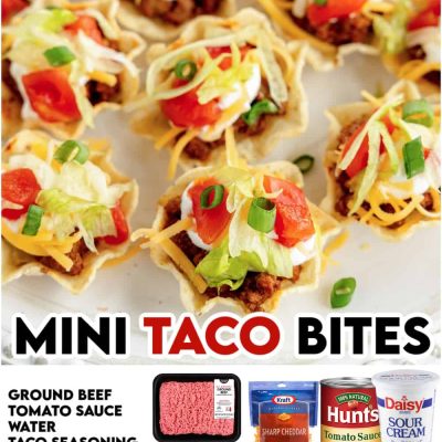 Bite Size Taco Turnovers