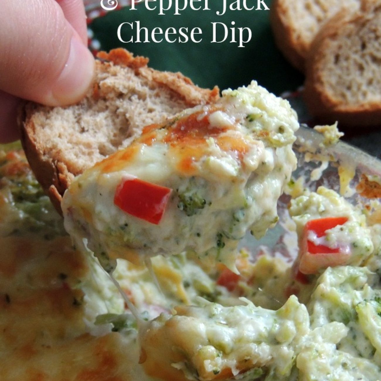 Broccoli Cheddar Dip