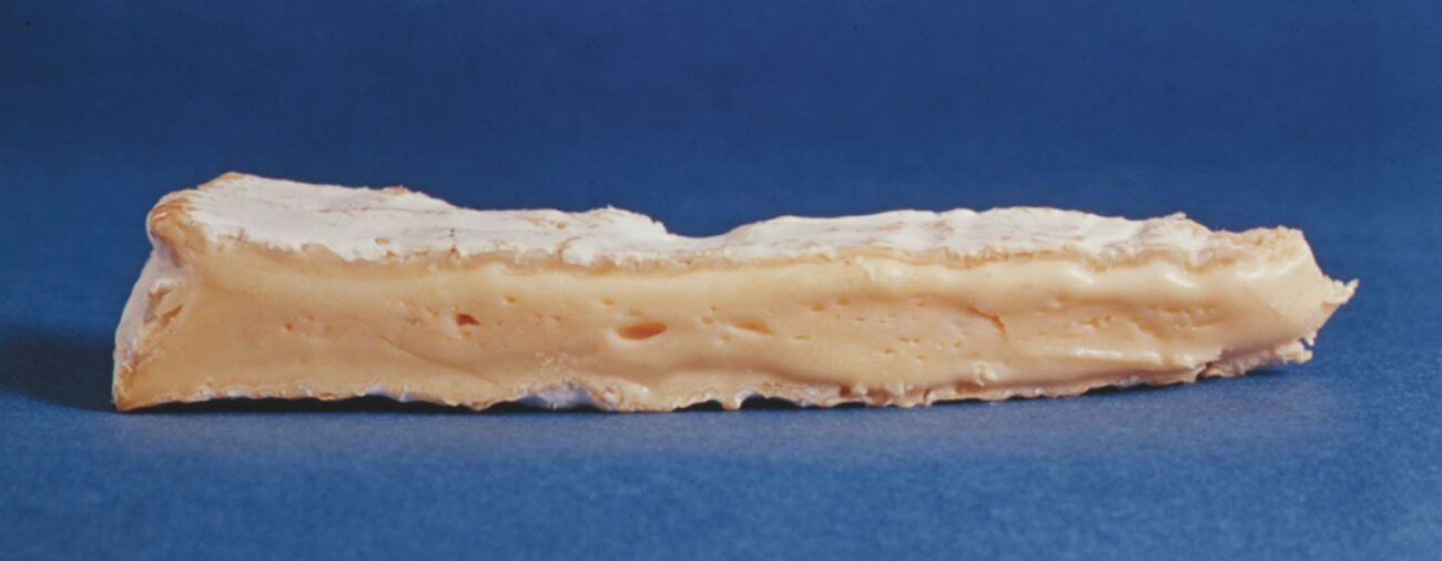 California Monterey Jack And Blue Cheese