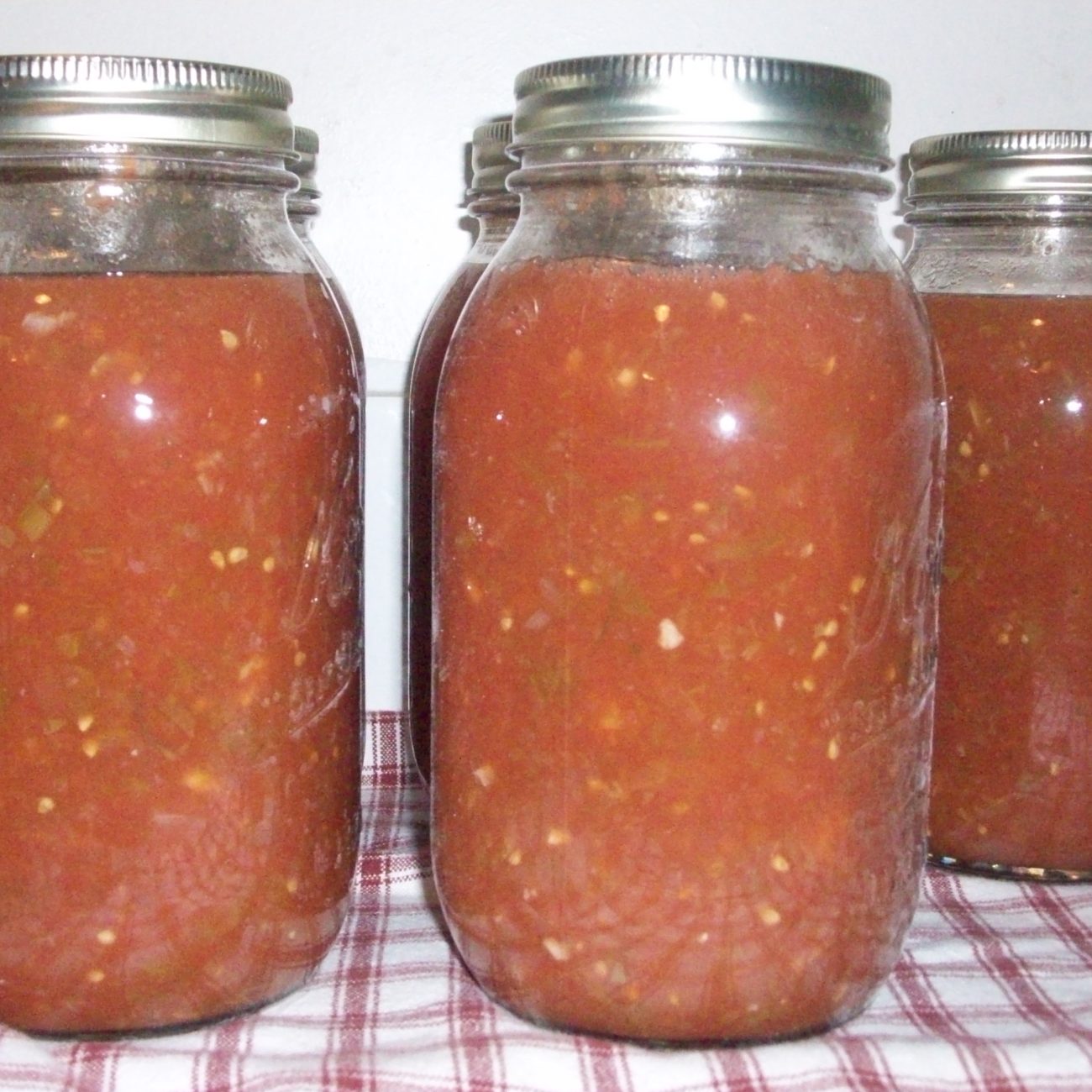 Canned Bottled Salsa