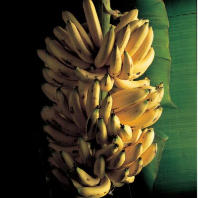 Caribbean Bananas