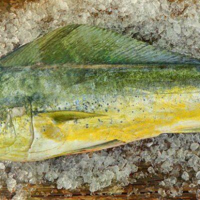Caribbean Mahi Mahi - 10 Points