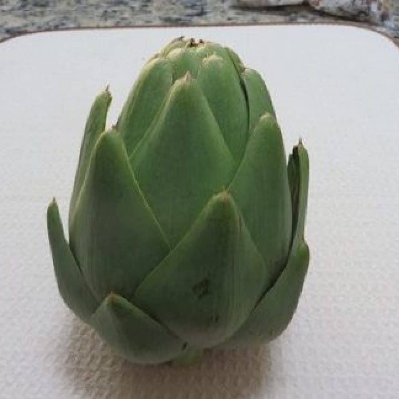 Caroles Friend Marilyns Artichoke