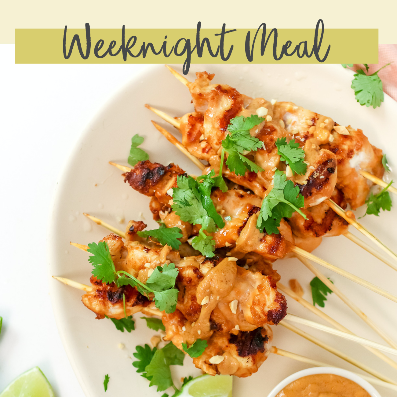 Chicken Sate With Peanut Sauce