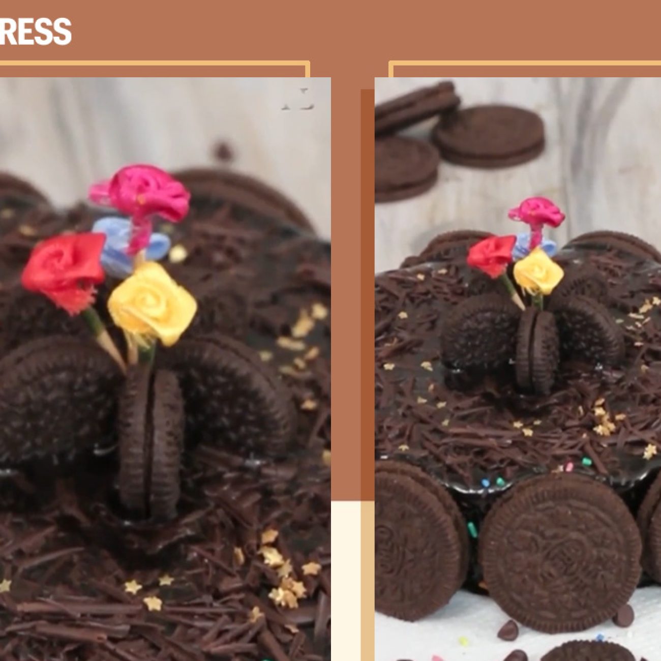 Chocolate Cake Express