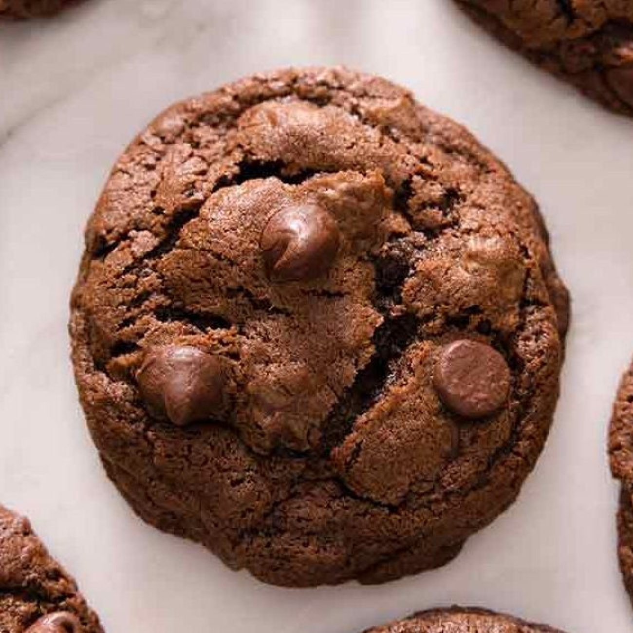 Chocolate Cookies With Chocolate