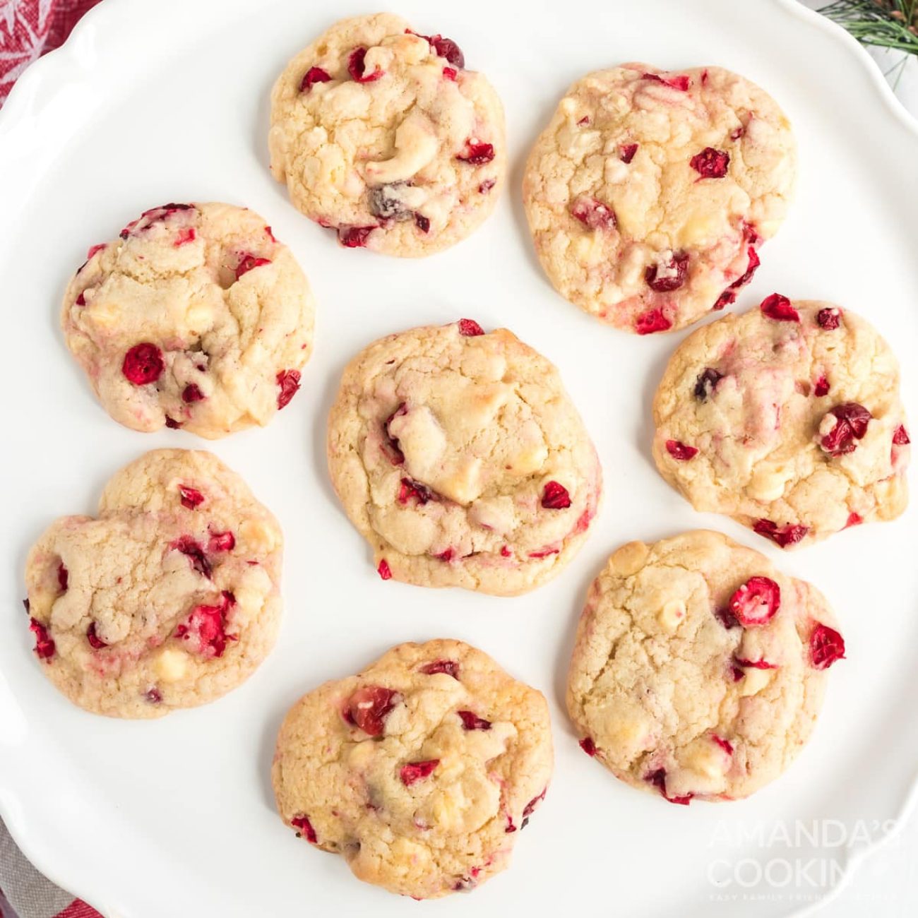 Chocolate Cranberry Cookies Mix In A