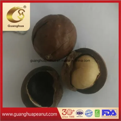 Coconut Scented Macadamia Nuts