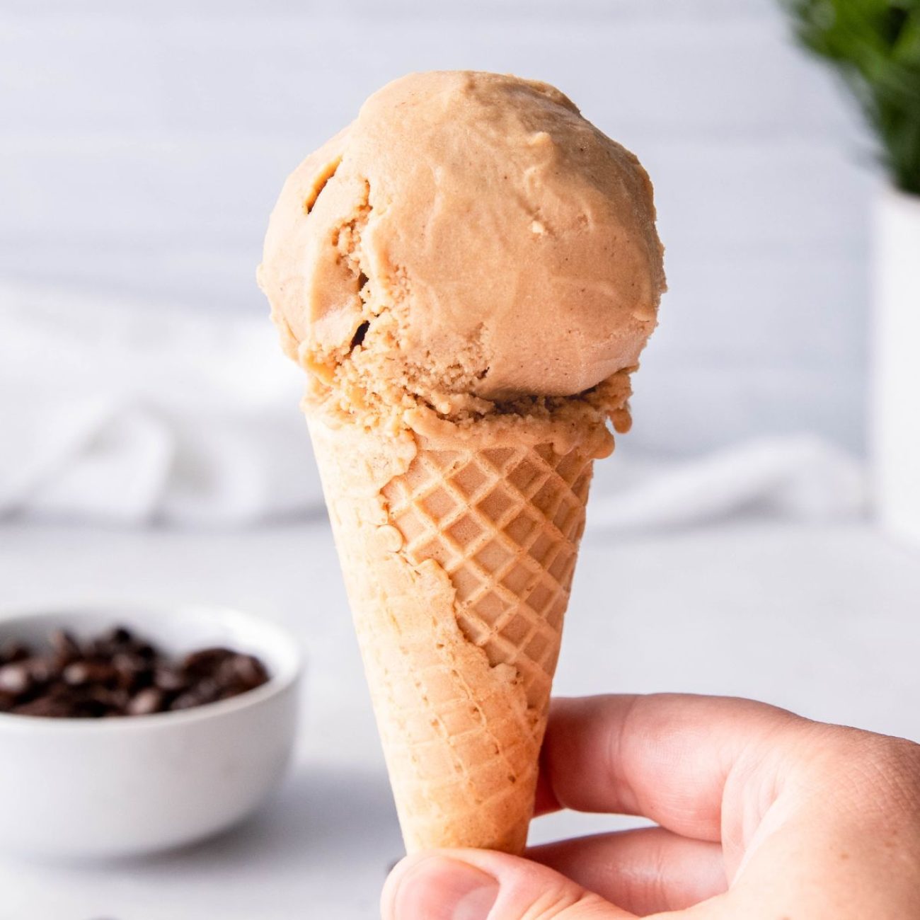 Coffee Ice Cream