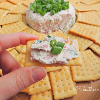 Corned Beef Dip