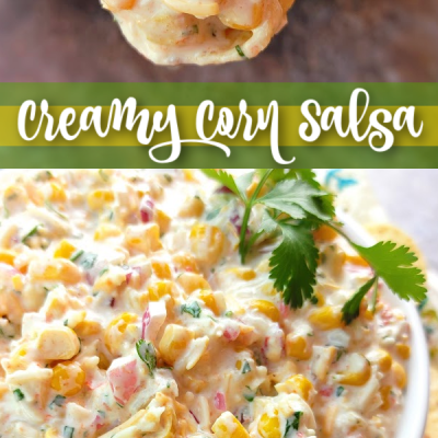 Creamy Cheesy Salsa Dip