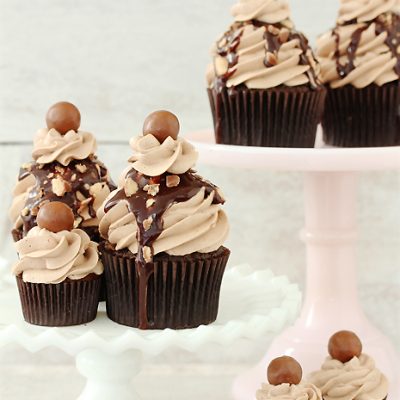 Double Chocolate Cocoa Cupcakes