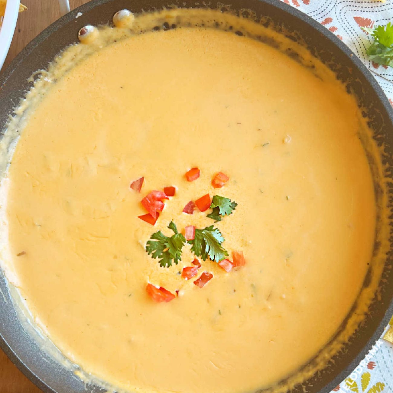 Easy 5 Ingredients Queso