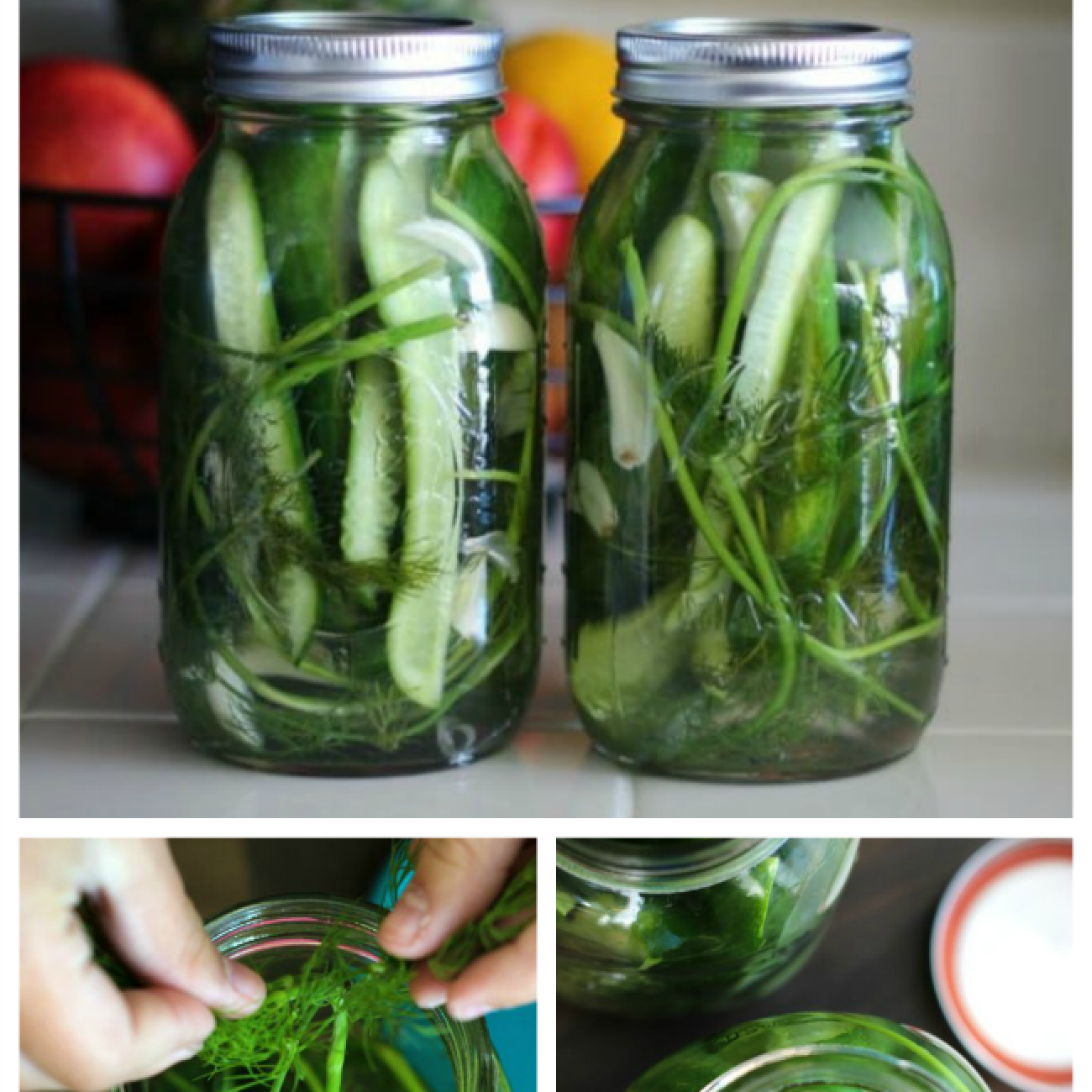 Easy Homemade Refrigerator Dill Pickles Recipe