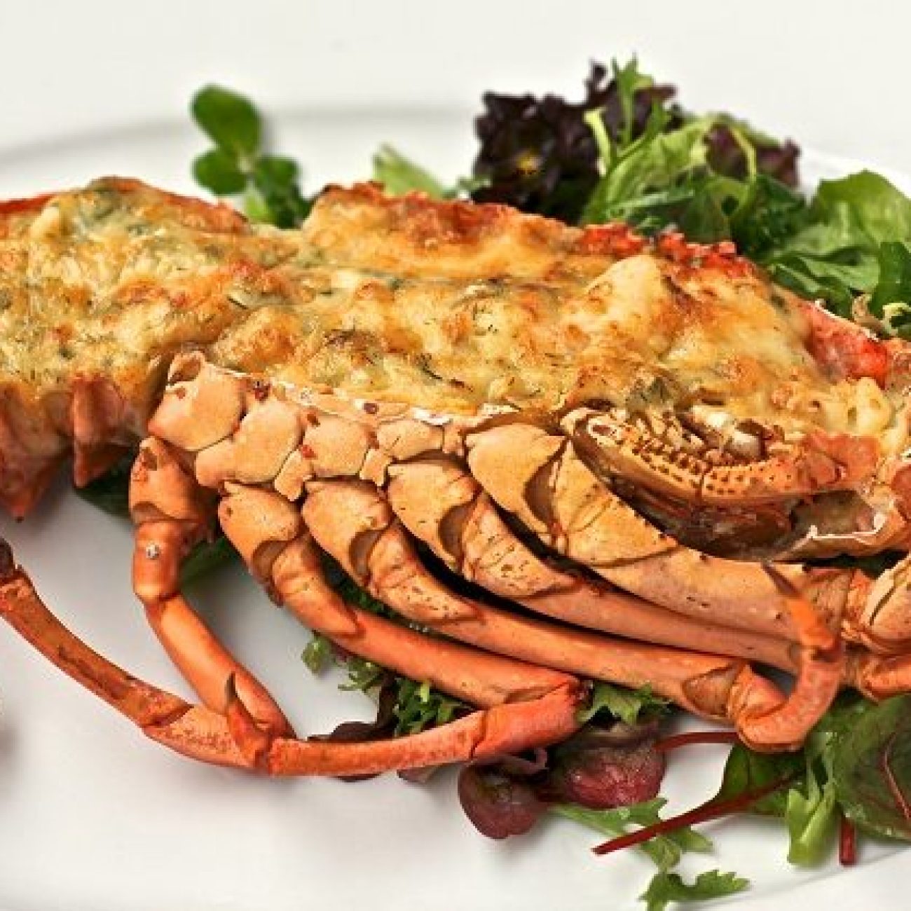 Grilled Rock Lobster