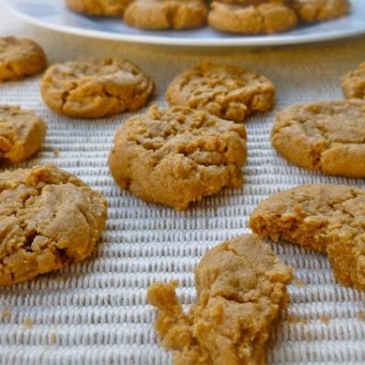 Healthy Weight Watchers Chocolate Peanut Butter Cookies Recipe