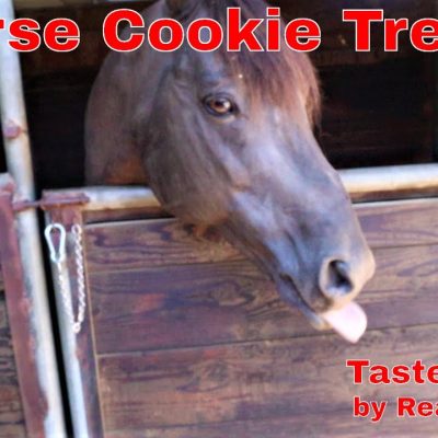 Homemade Horse Treats: Sport and Misty's Favorite Cookie Recipe