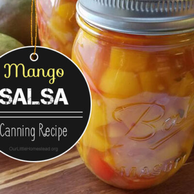 Homemade Salsa For Canning