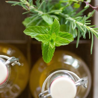 Kombucha -No-Alcohol Lime Mint Bubbly