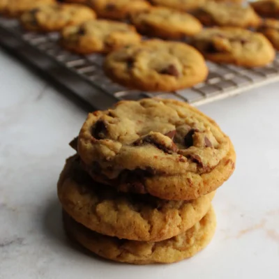 Large Batch Chocolate Chunk