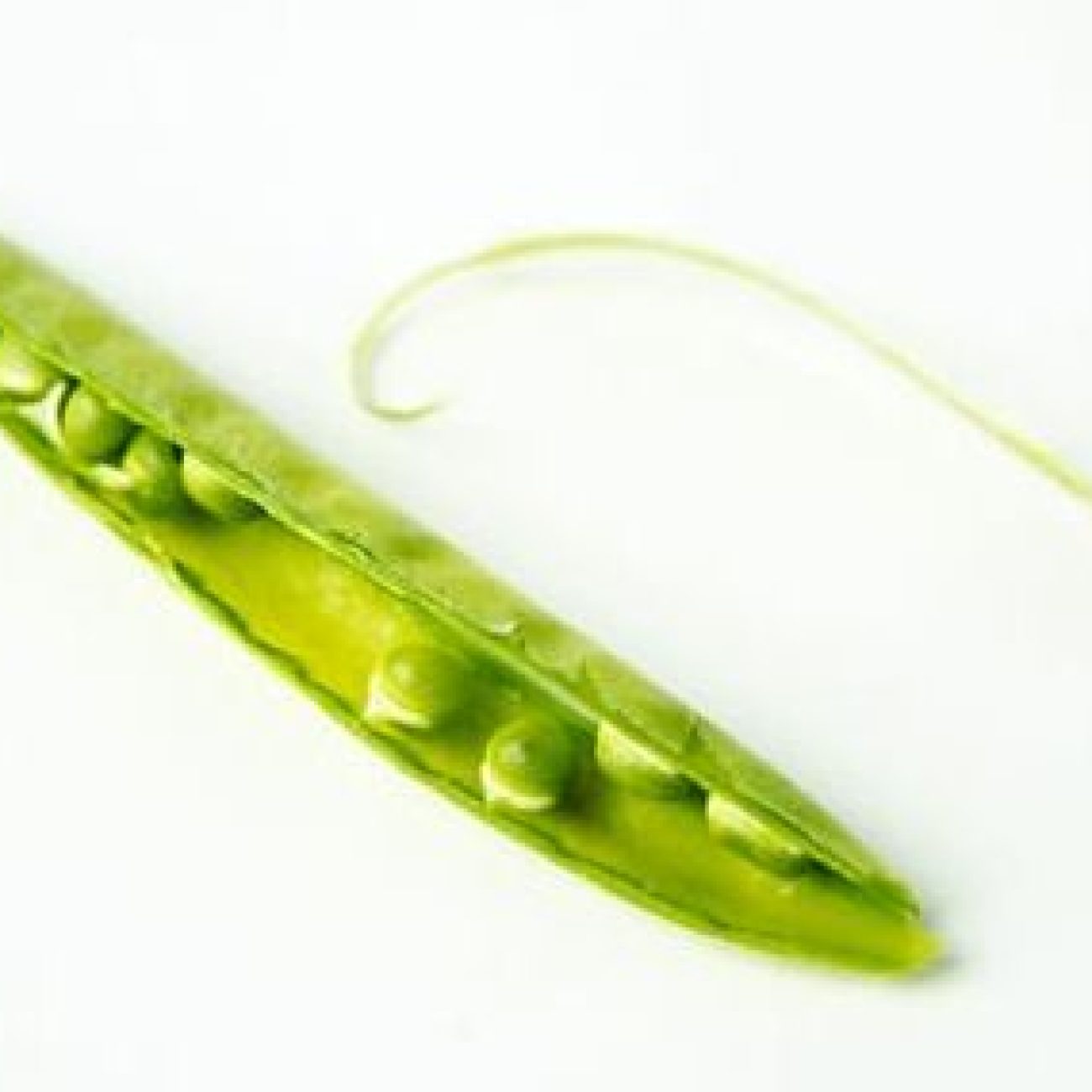 Ma Leetle Petit Pois