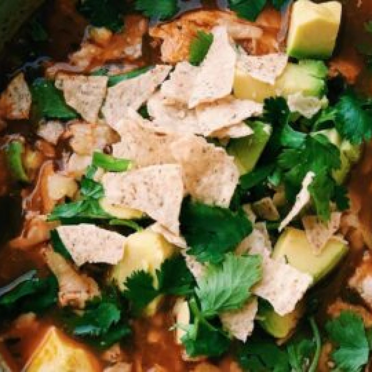 Melissas Chicken Tortilla Soup