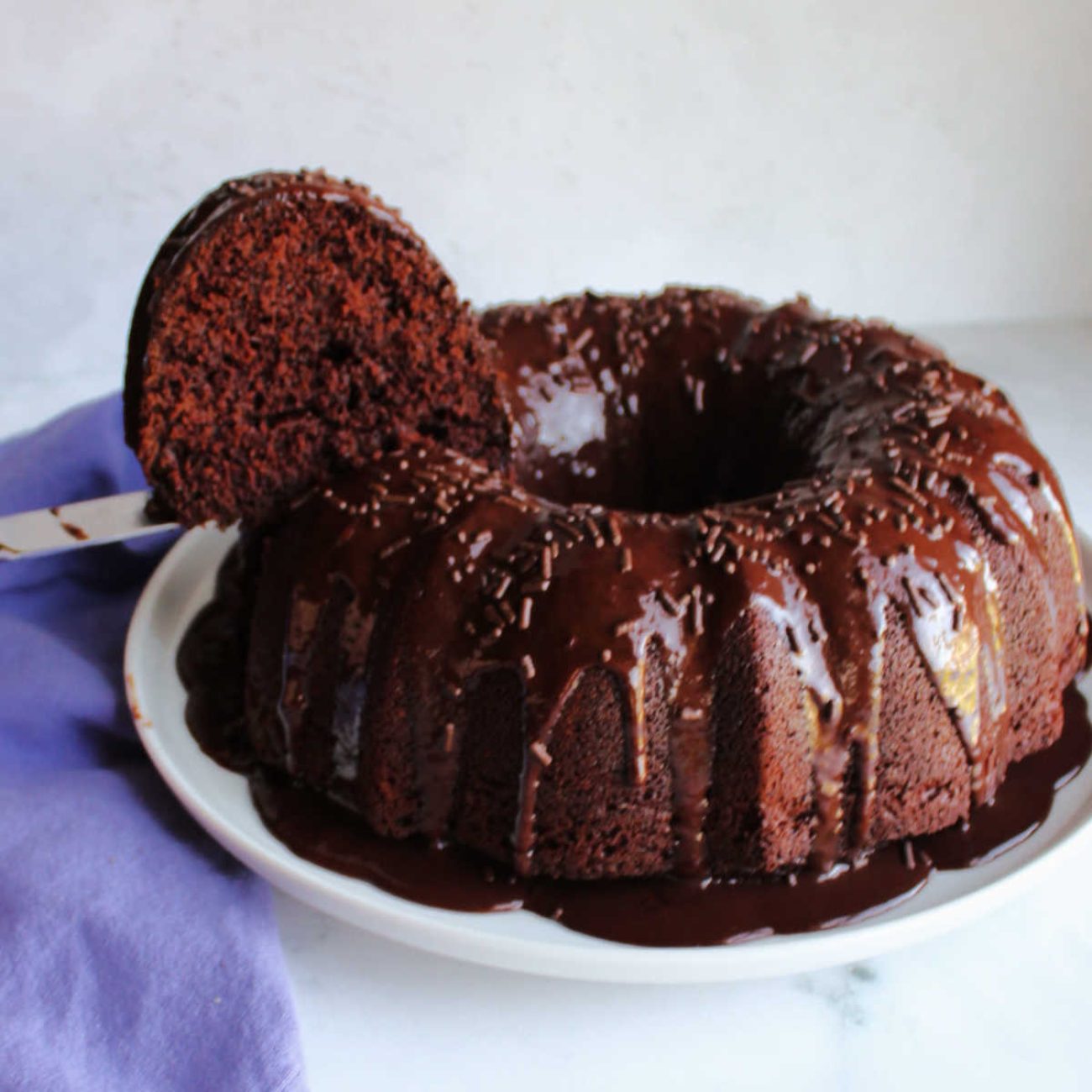 Moist Chocolate Bundt Cake